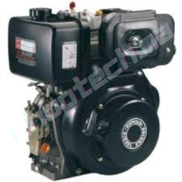 Moteur diesel 170f