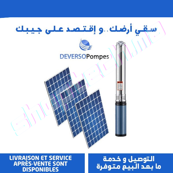 Kit pompe immergée solaire 750w