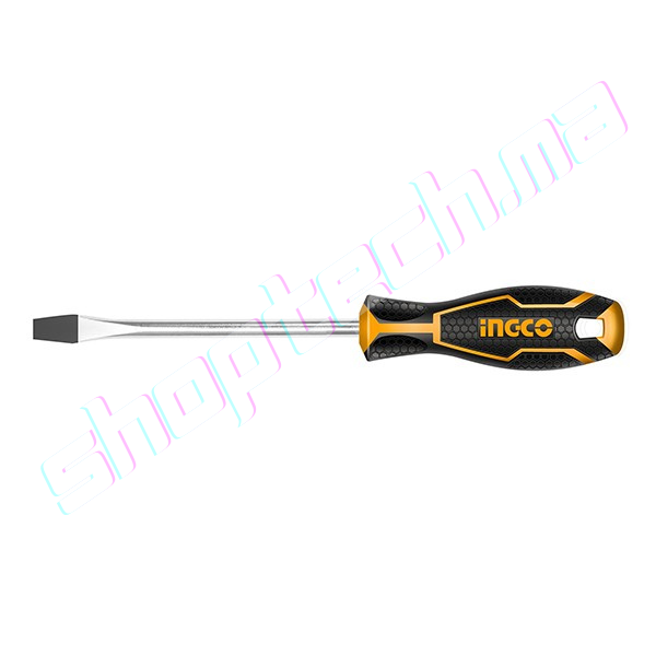 Tournevis pour vis à fente d：4.0/100mm l